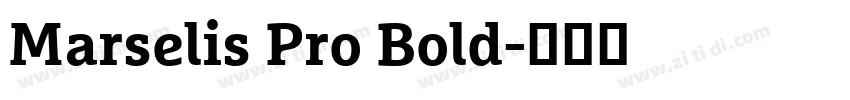 Marselis Pro Bold字体转换